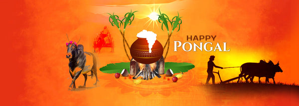 Pongal - A Festival of Abundance