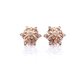 AYUSHKA DIAMOND STUD